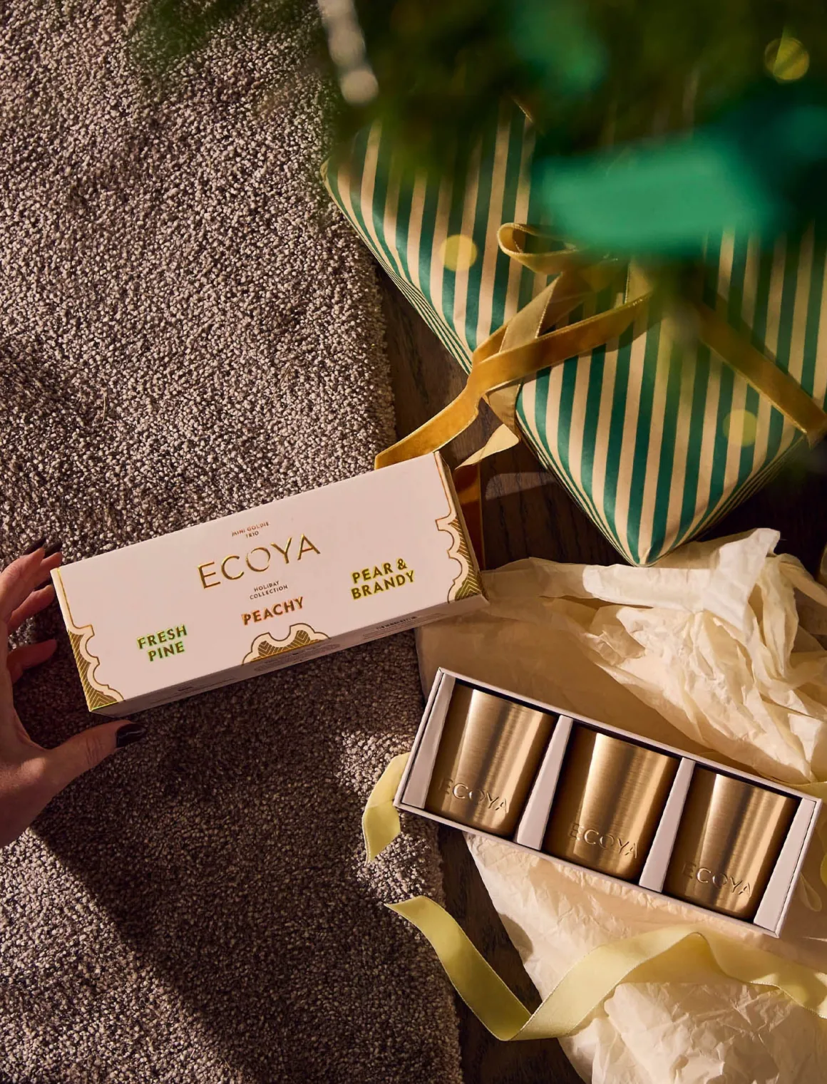 Ecoya Mini Goldie Trio - Fresh Pine, Pear & Brandy, Peachy